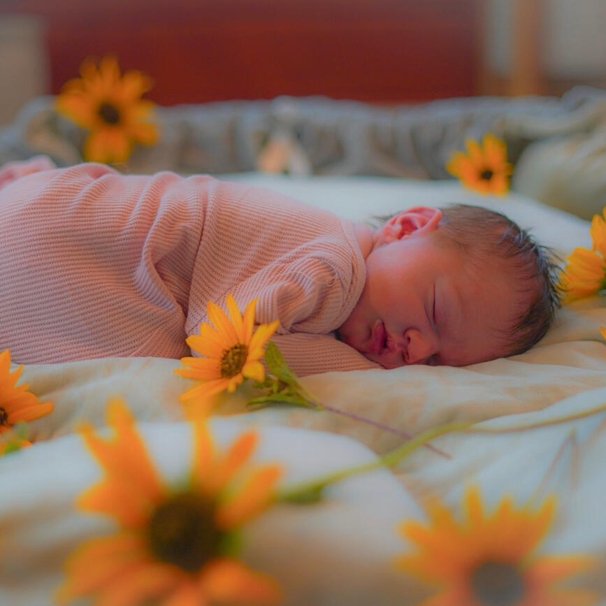 Newborn in a pink onesie among sunflowers